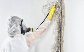 Best Dehumidification Services  in Englewood, NJ